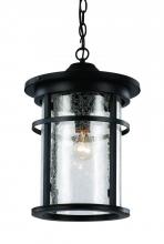  40385 BK - Avalon Crackled Glass Outdoor Hanging Pendant Light with Open Base